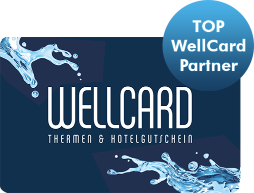 Top WellCard Partner
